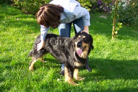 Ivana Ruddock - Canine Touch